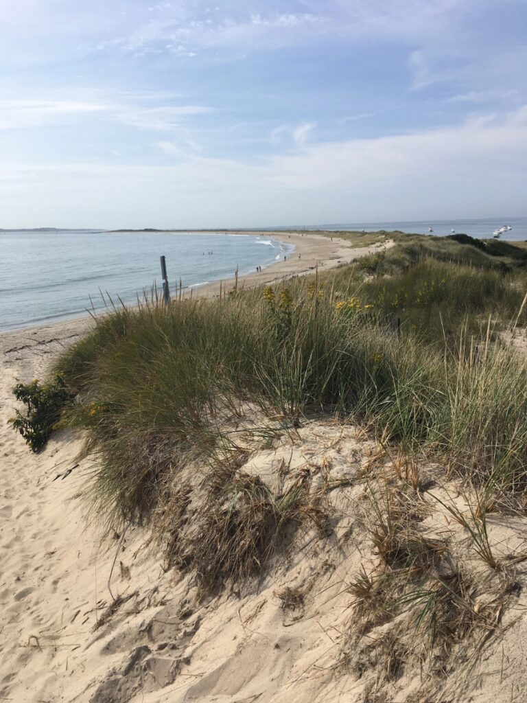 Westerly Watch Hill