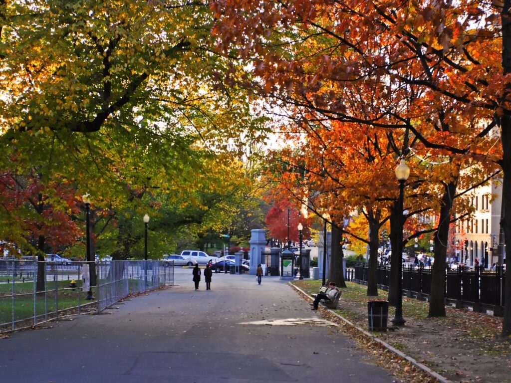 Boston in autumn