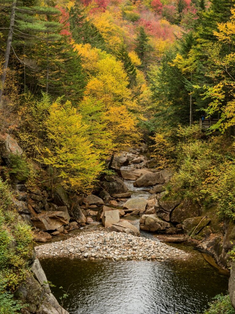 Flume Gorge in NH