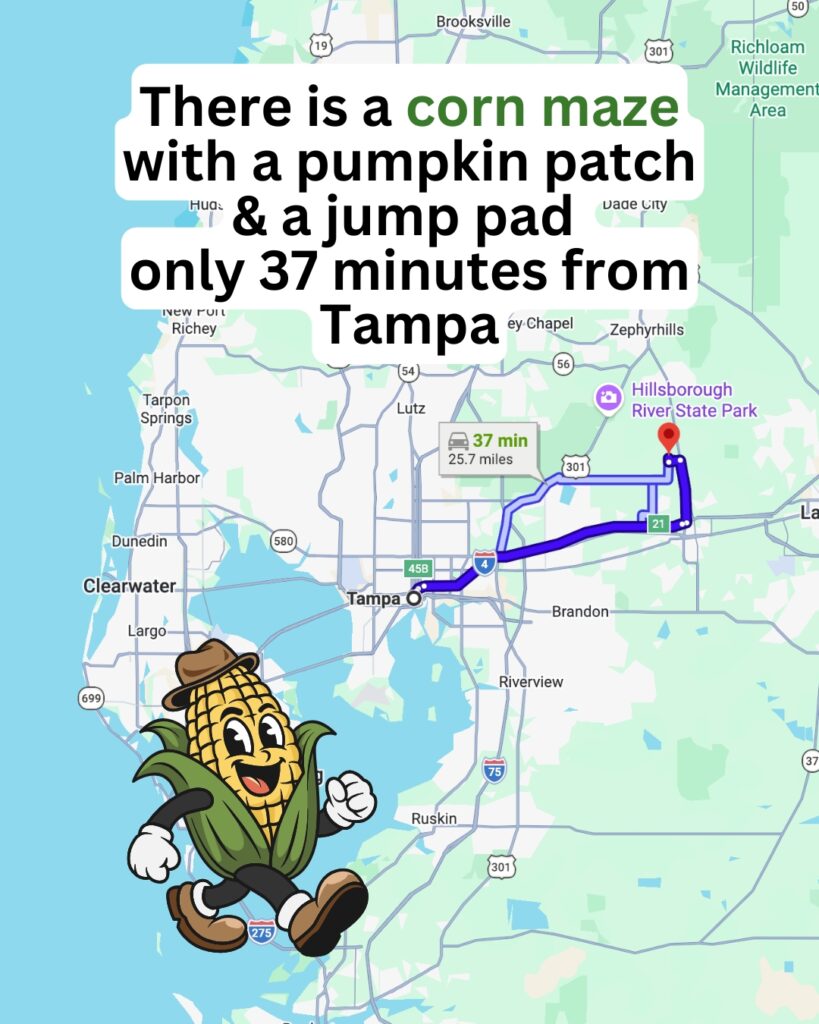 Fox Squirrel Corn Maze