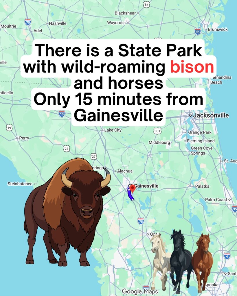 Paynes Prairie Preserve State Park