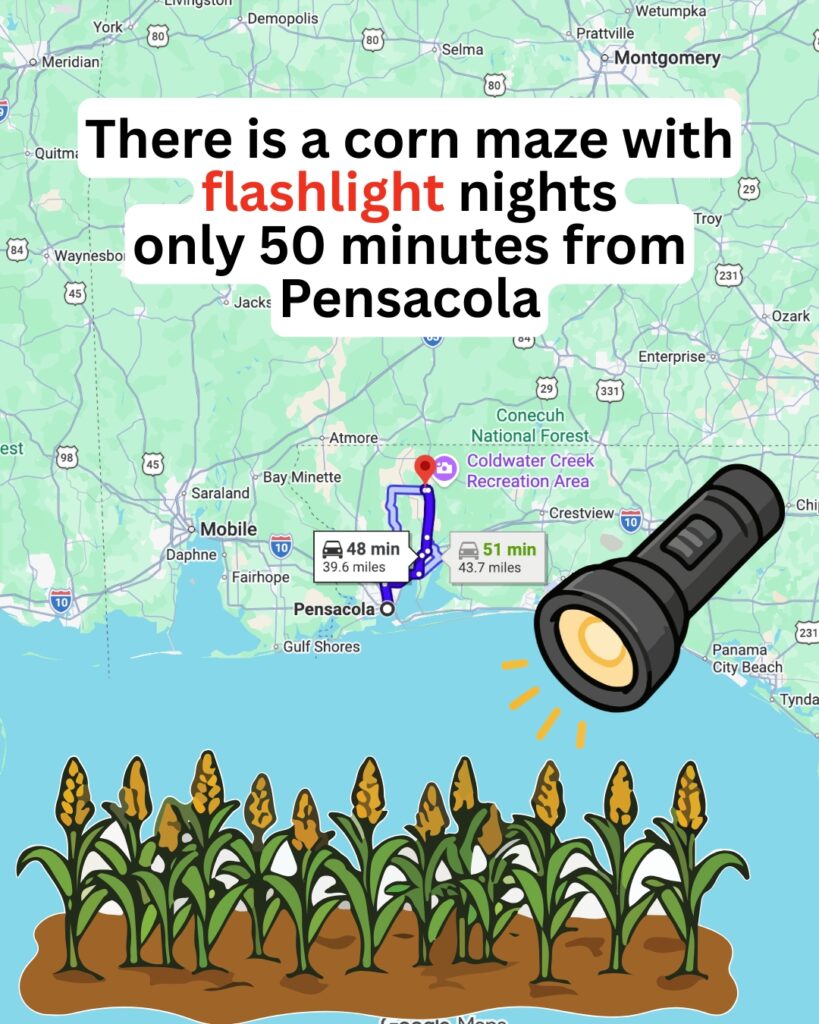 Sweet Season Farms