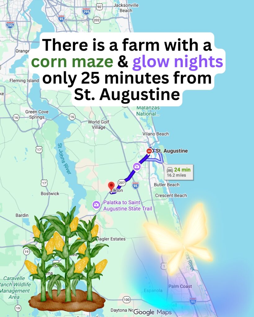 Sykes Family Farms