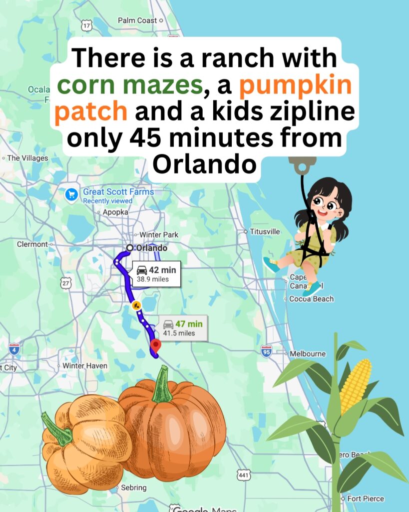 The Partin Ranch Corn Maze