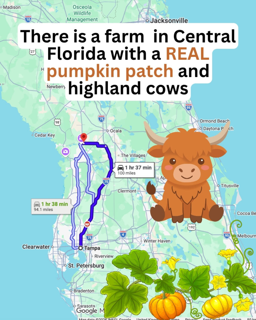 cannons farms in florida3