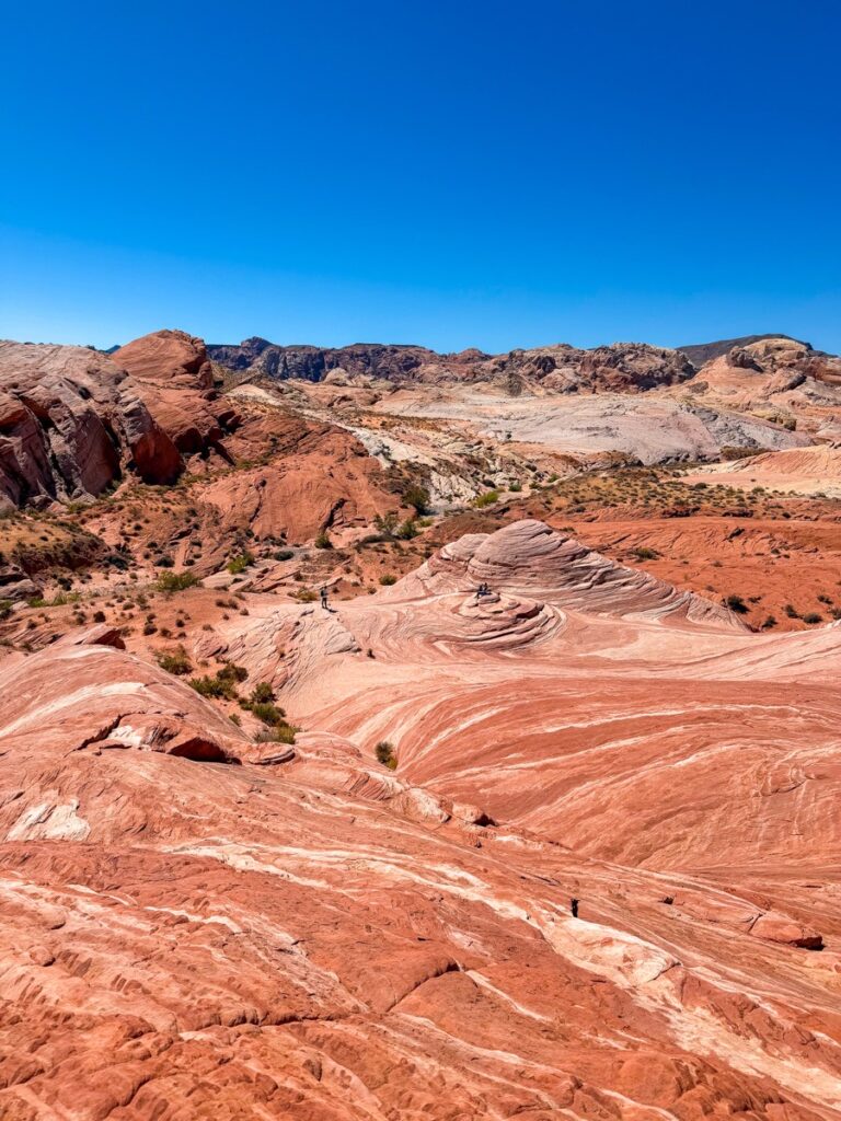 Panoramic view over the striped sandstone of the Fire Wave in the Valley of Fire
