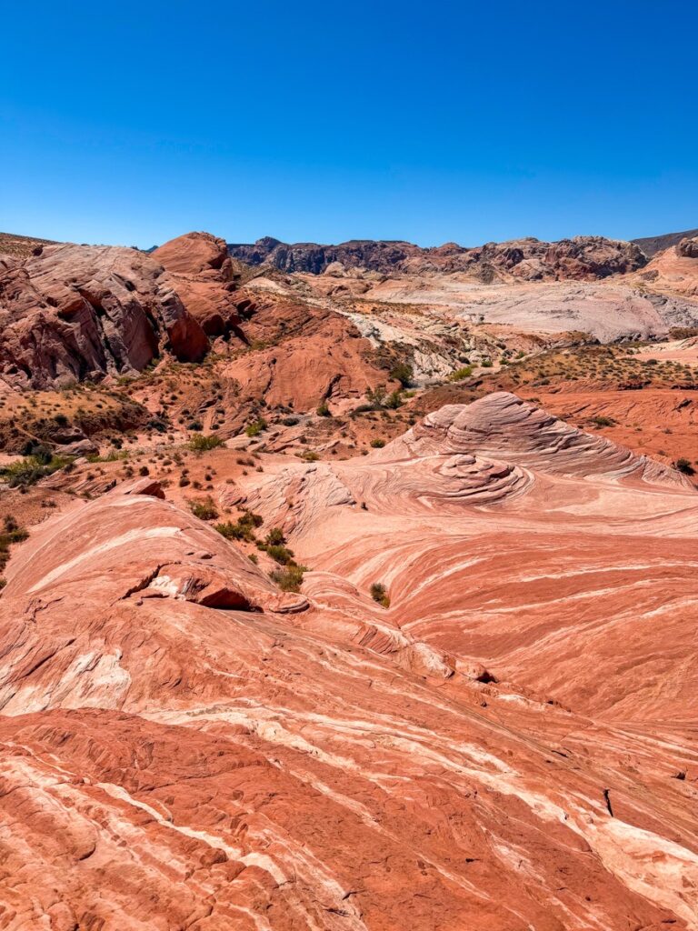 Wide view over the Fire Wave and striped sandstone in the Valley of Fire State Park