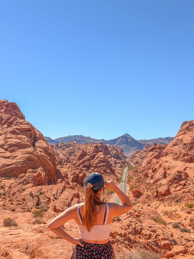 Looking out over Mouse's Tank Road and the red rock valley in the Valley of Fire