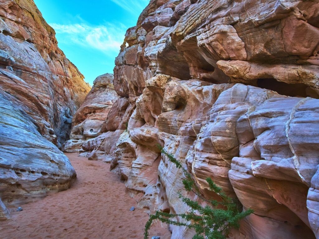 Sunlit sandstone canyon walls along the Prospect Trail in the Valley of Fire State Park