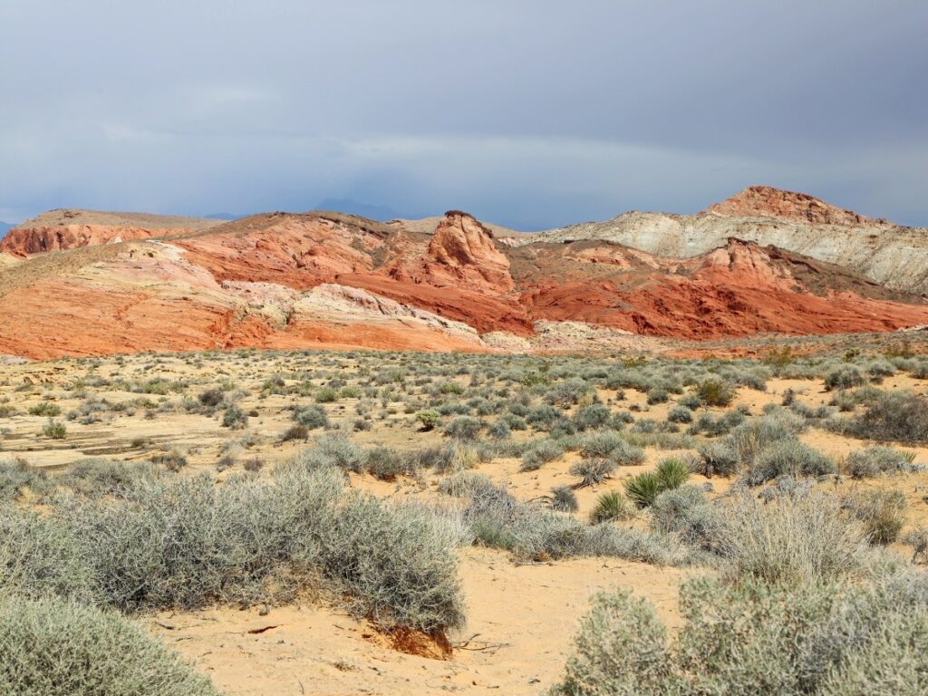 The banded red and white rock seen from the Rainbow Vista Trail in the Valley of Fire