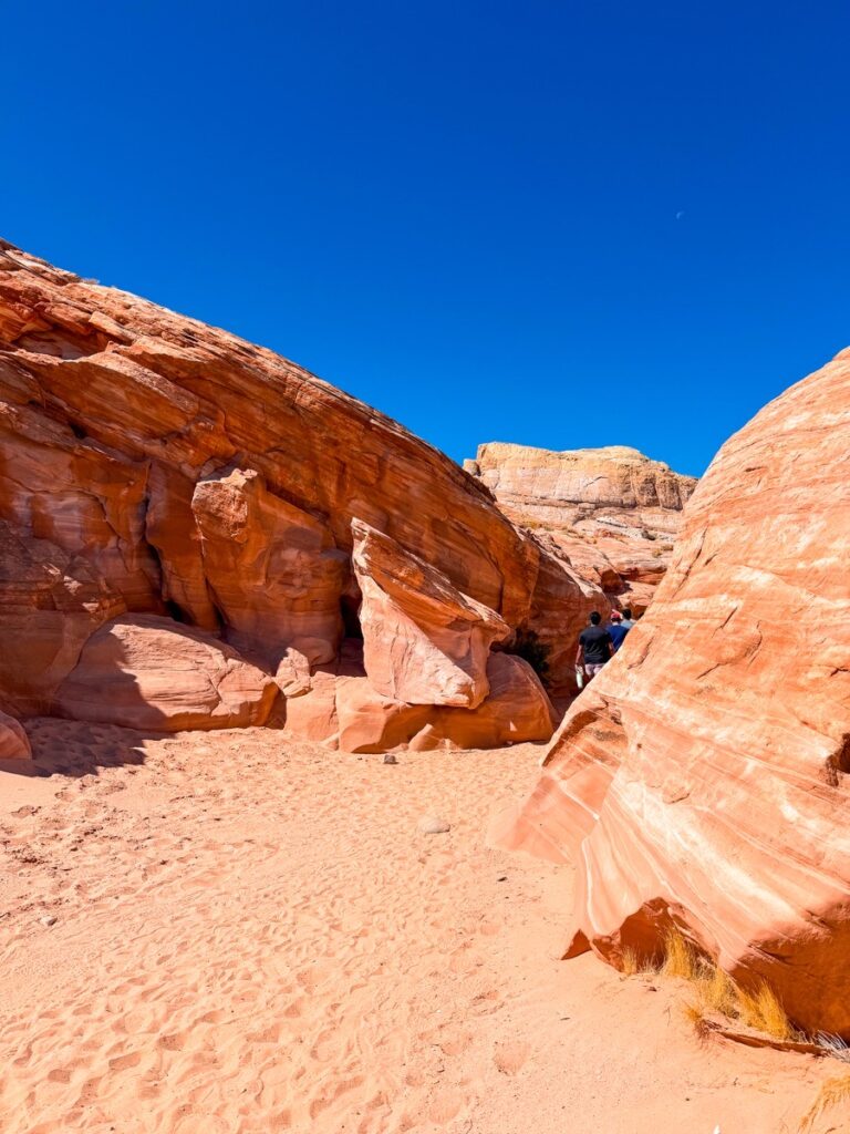 Pale sandstone formations along the Seven Wonders Loop in the Valley of Fire